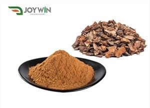 Pine Bark Extract Powder